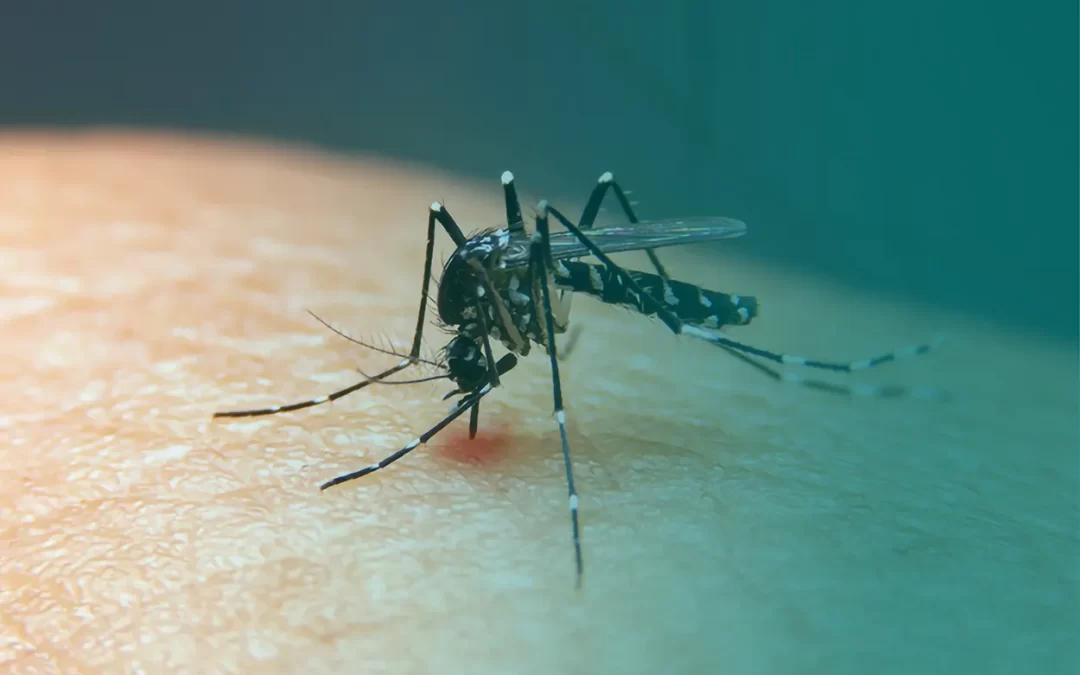 Unidos contra dengue – Laboratório Adolfo Lutz