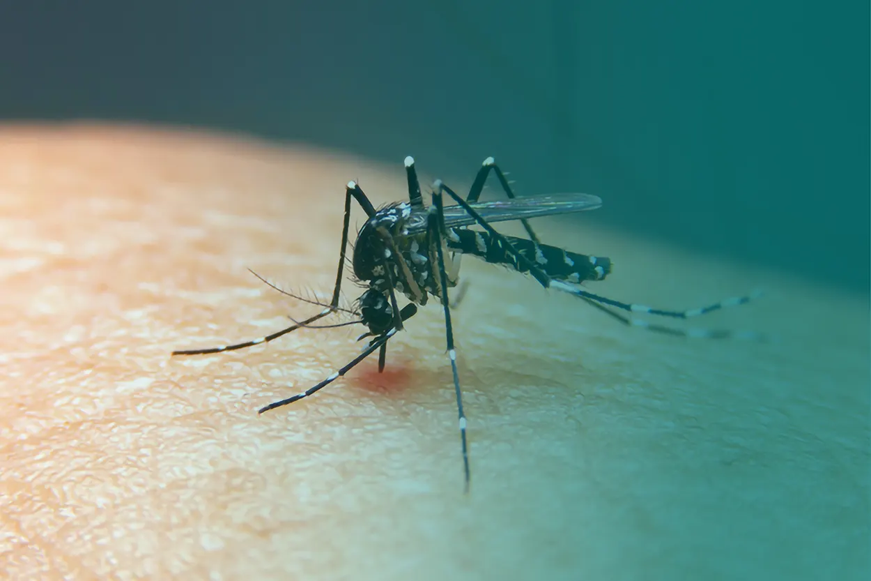 Laboratório Adolfo Lutz unido contra a Dengue